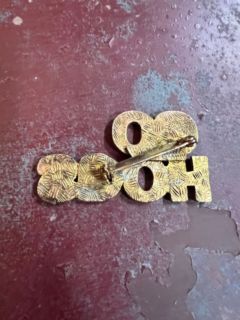 Vintage Go Hogs pin - brooch - Main Street Threads